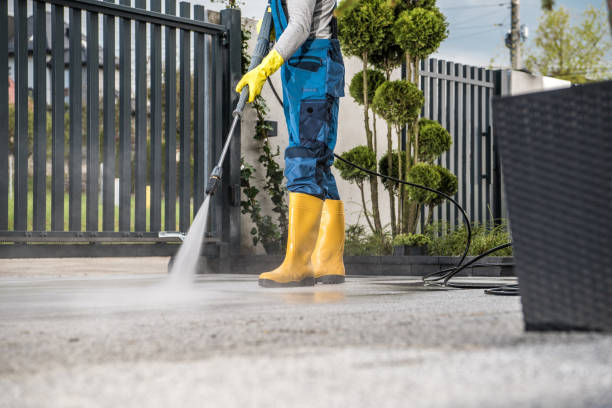 Best Fence Cleaning  in Lake Bluff, IL